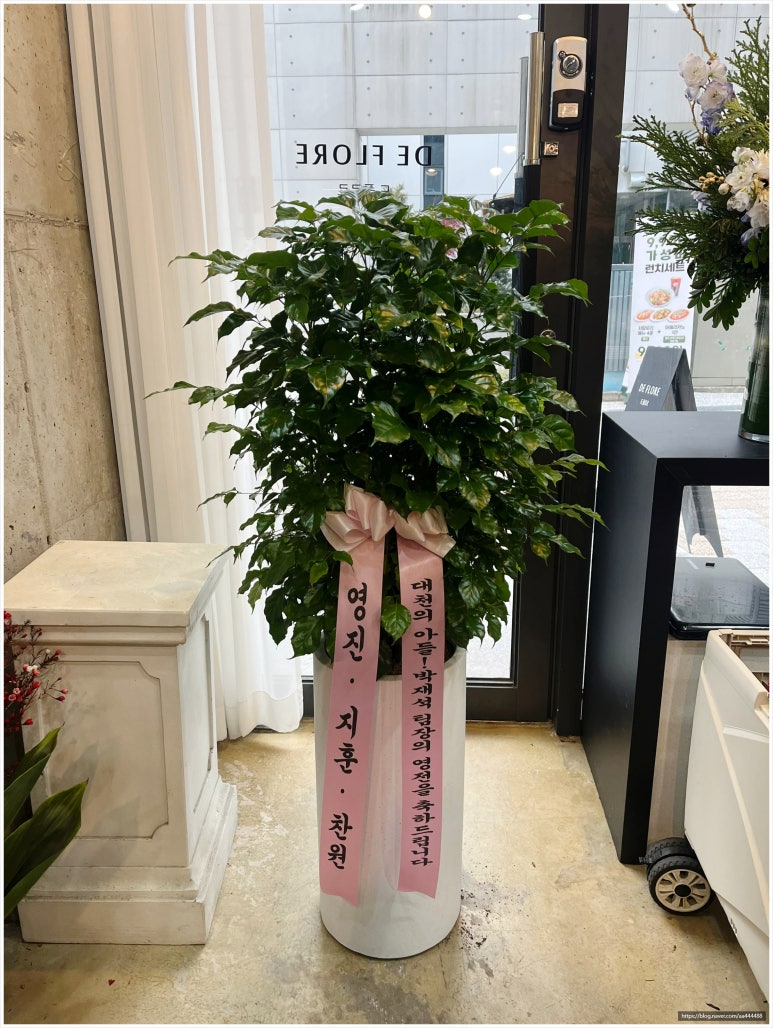 플로르 이미지