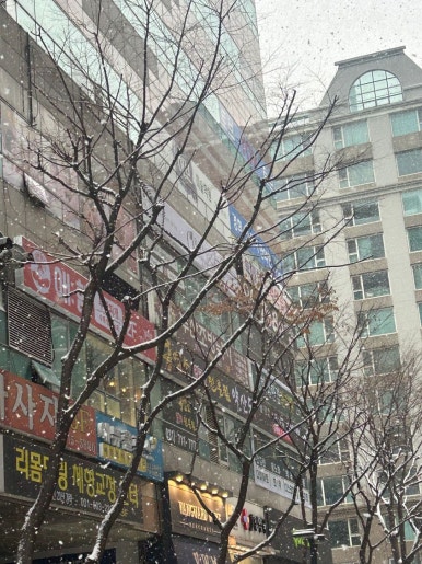 오로지푸스앤네일 이미지