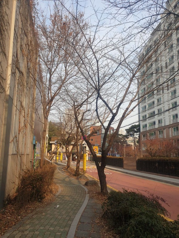 네일메카 이미지