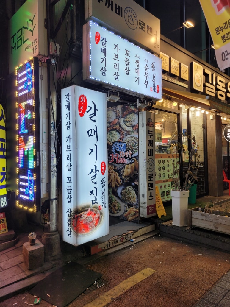 동부갈매기 이미지