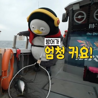 일산대방어 이미지