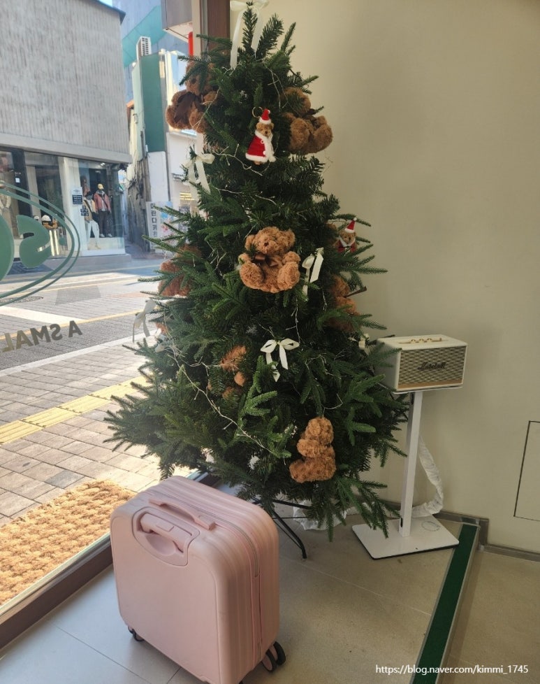 소솜(SOSOM) 이미지