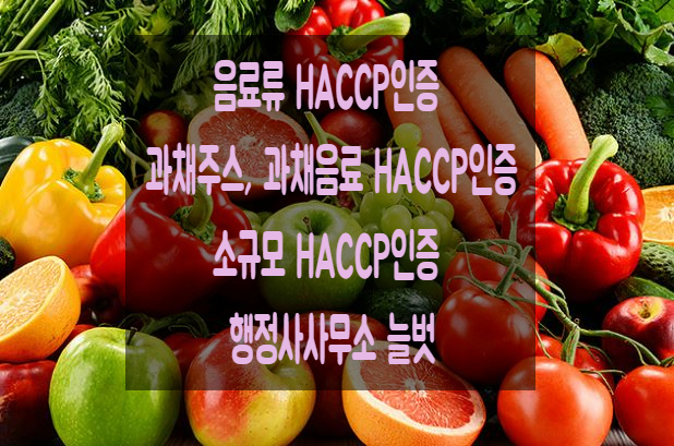 행정사사무소늘벗 이미지