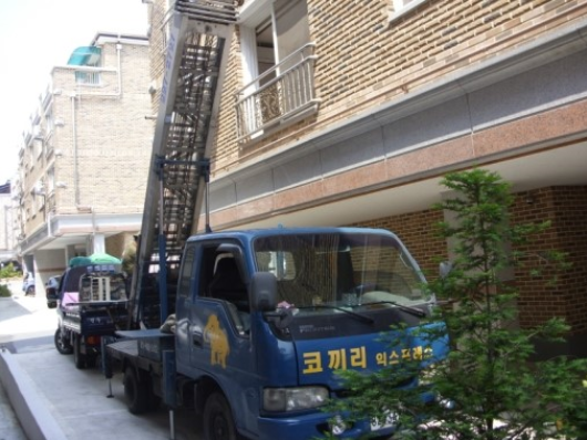 코끼리인력 이미지