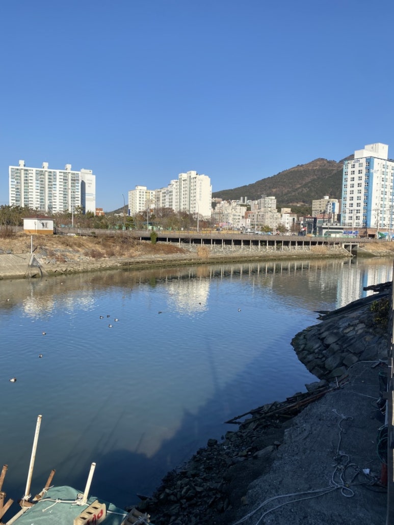 강변생오리 이미지