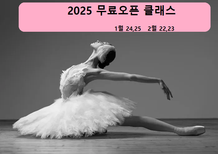 탄츠하우스 이미지