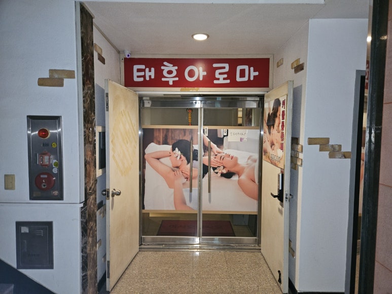 중국전통태후아로마 이미지