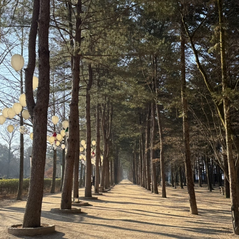 지운이네엄마손김 이미지