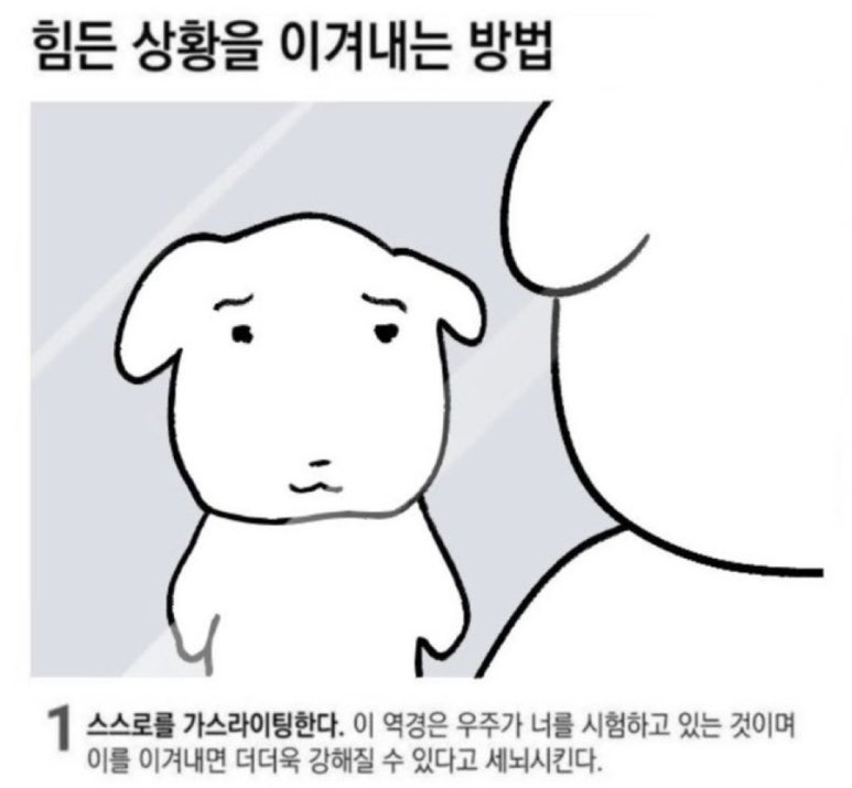중문사 이미지