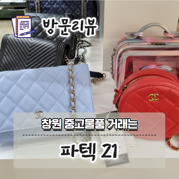 파텍21 이미지