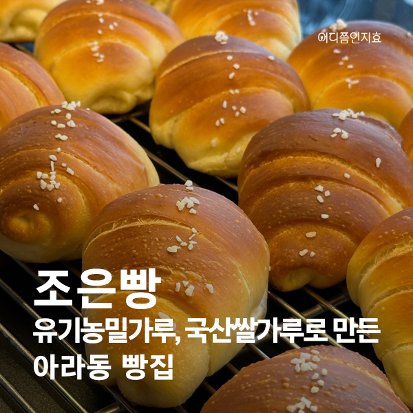 조은빵 이미지