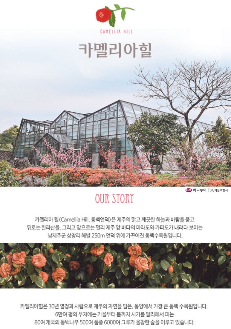 동산항공여행사 이미지