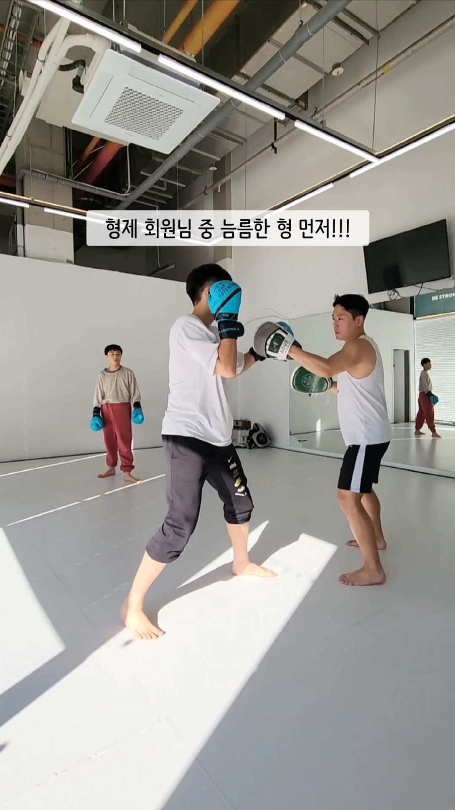 형제미트 이미지