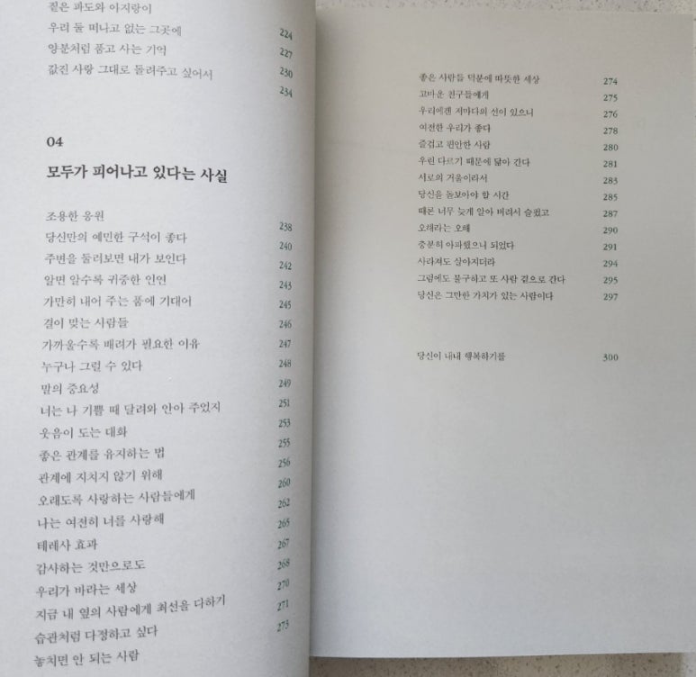 일홍 이미지