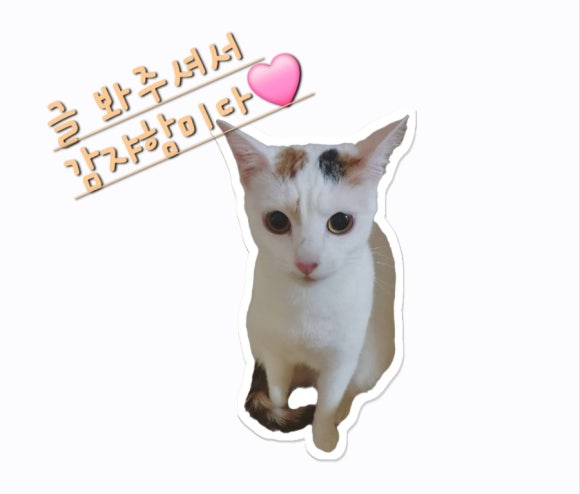 따스 양꼬치 이미지