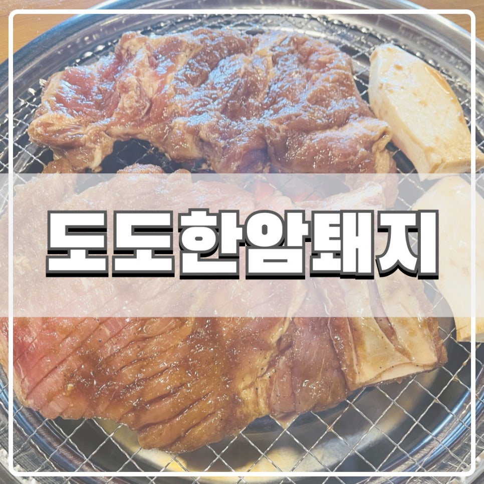 도도한암퇘지 이미지