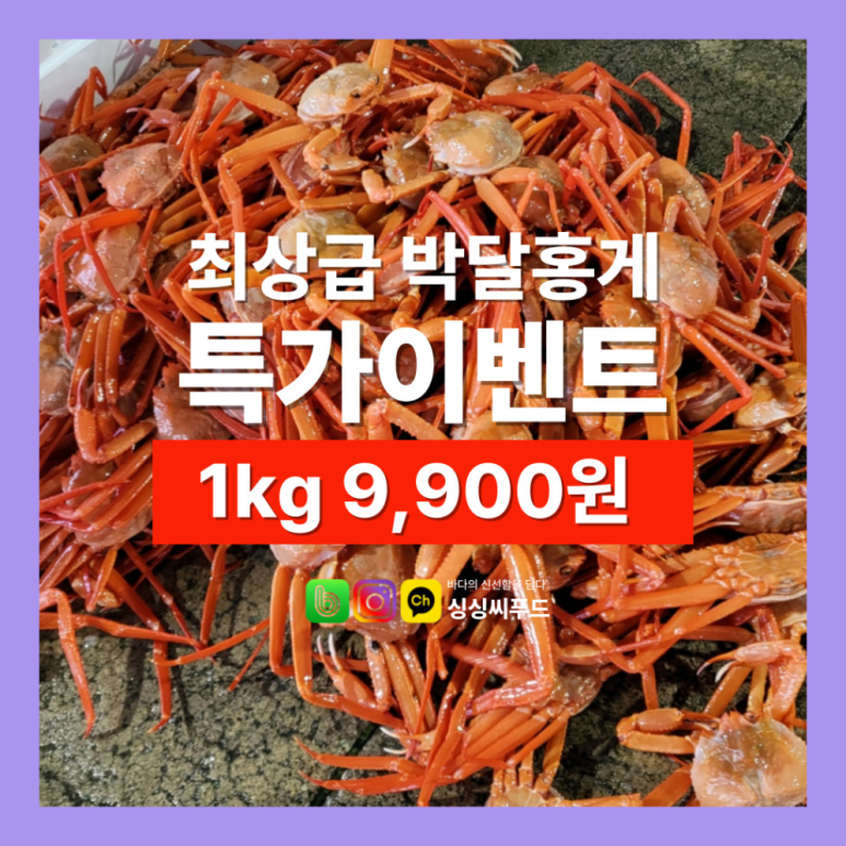 싱싱씨푸드 이미지