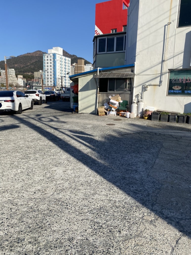 강변생오리 이미지