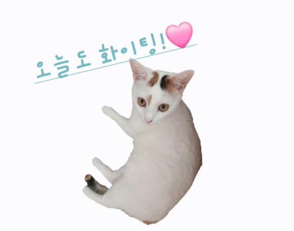 따스 양꼬치 이미지