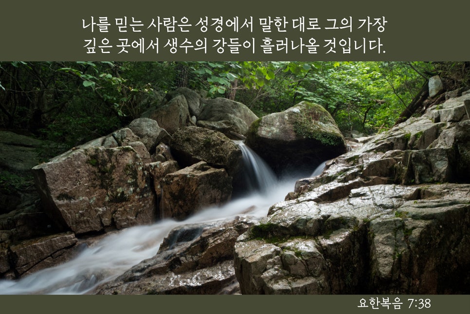 삼일영이 이미지