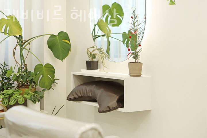 비르헤어 이미지