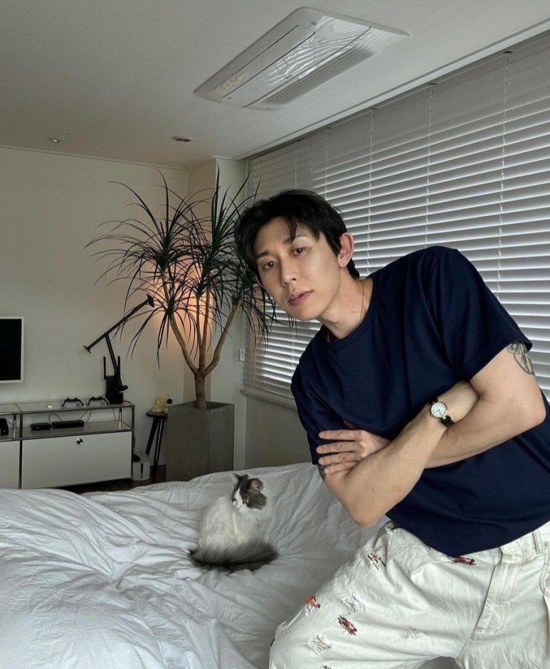 코드변화 이미지