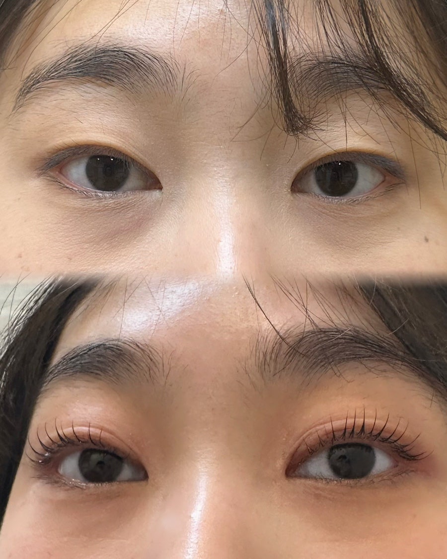 모뮤토 이미지