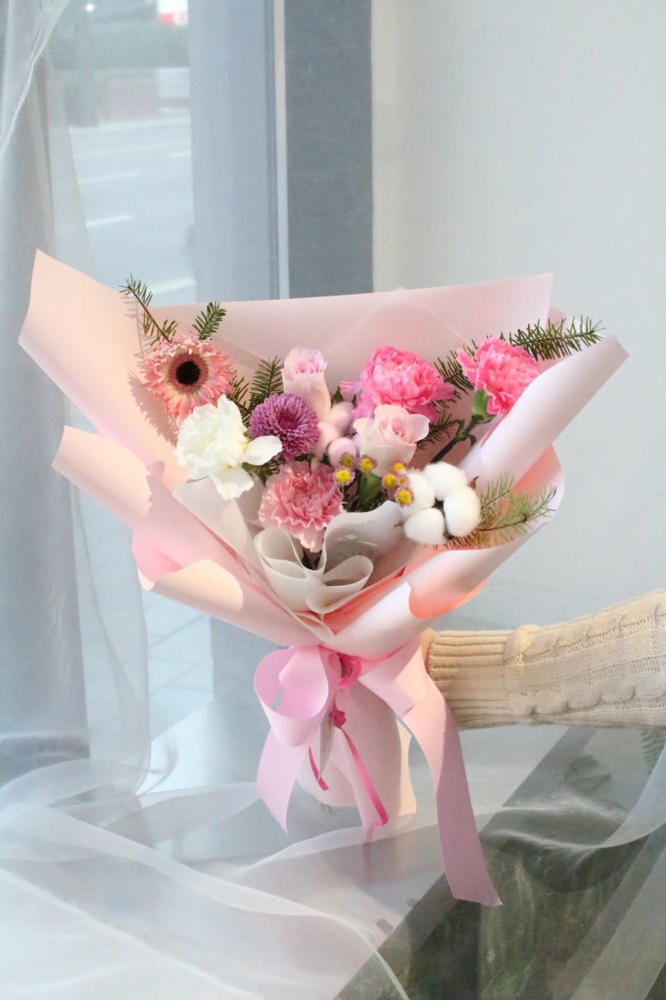 더피올라 이미지