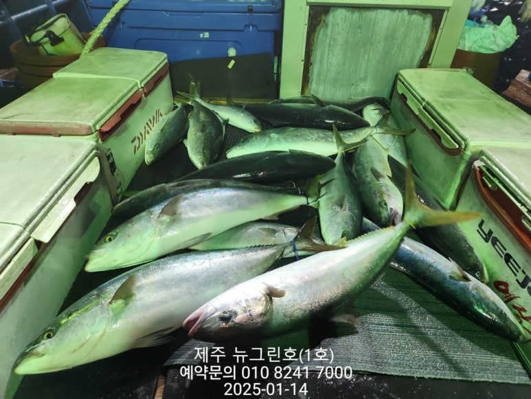 그린호 이미지