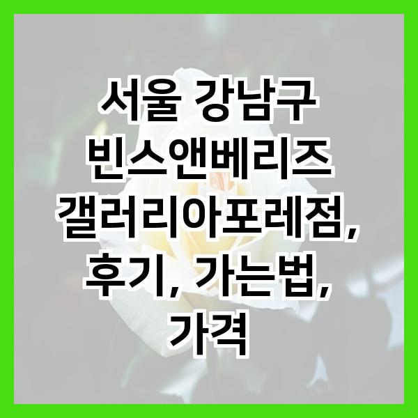 빈스앤베리즈 갤러리아포레점 이미지