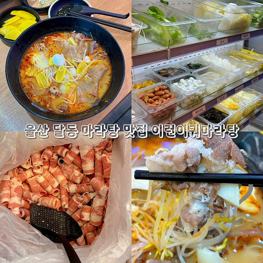 이런이궈 이미지
