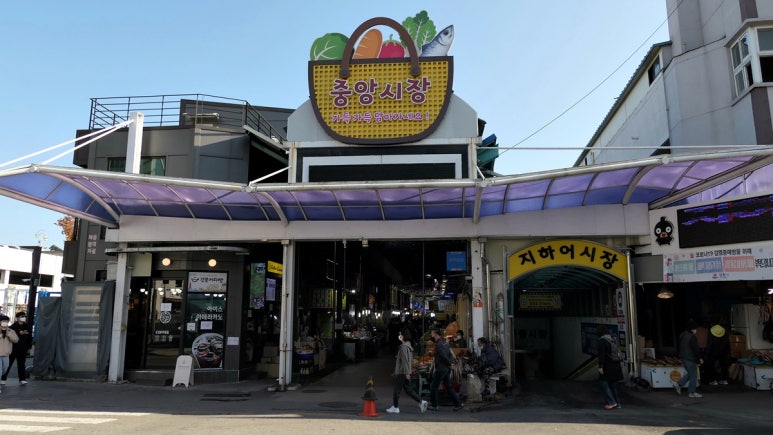 오징어나라2 이미지
