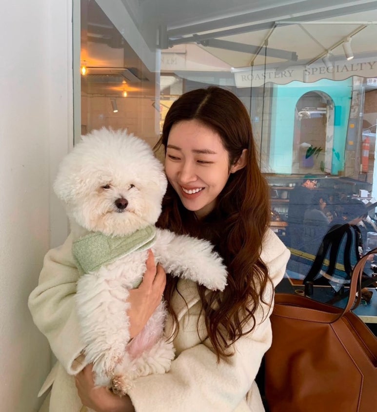 더에이치컴퍼니 이미지