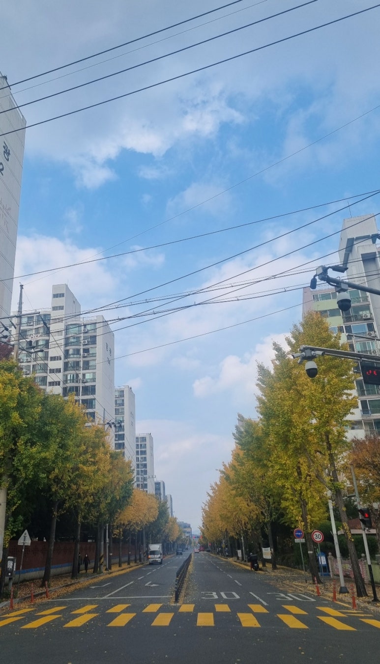 안나음악교습소 이미지