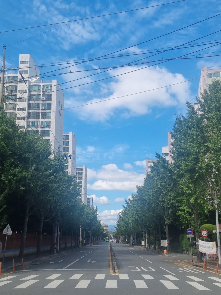 안나음악교습소 이미지