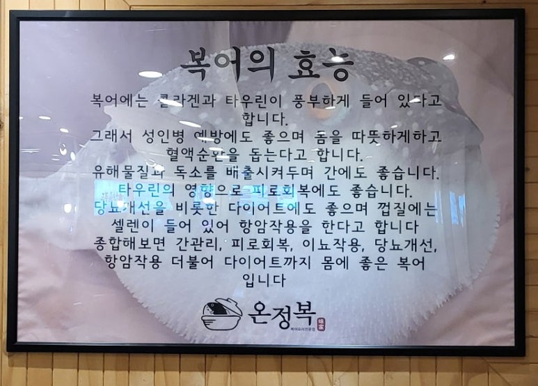 칠성복어 이미지