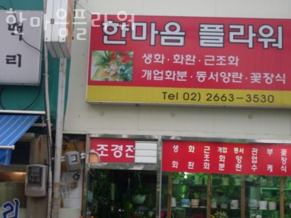 한마음플라워 이미지