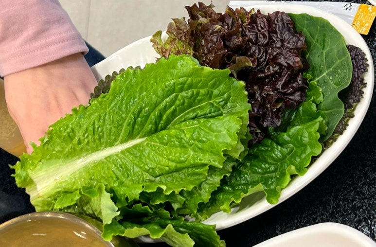 대경 오리 하우스 이미지