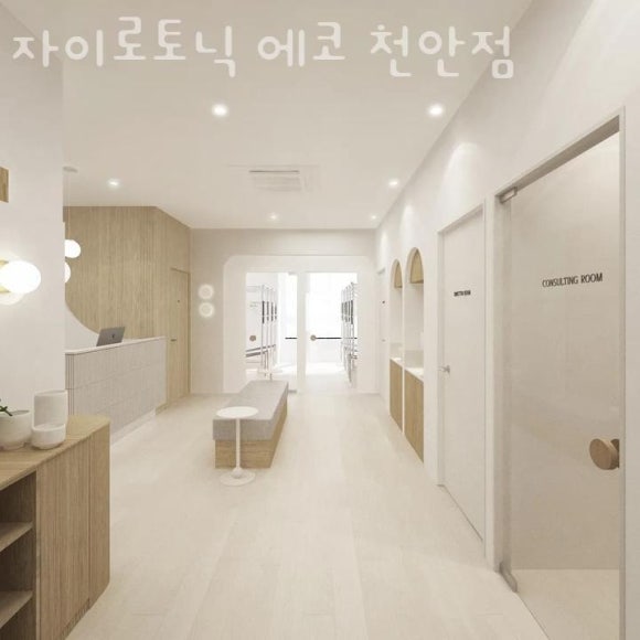 자이로토닉에코 이미지