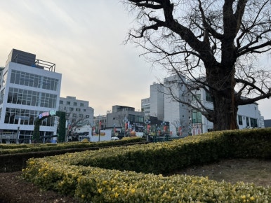 강릉아이폰수리센터폰닥터 이미지