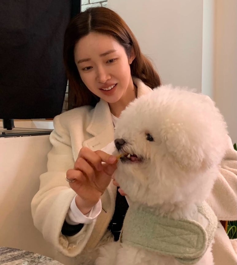 더에이치컴퍼니 이미지