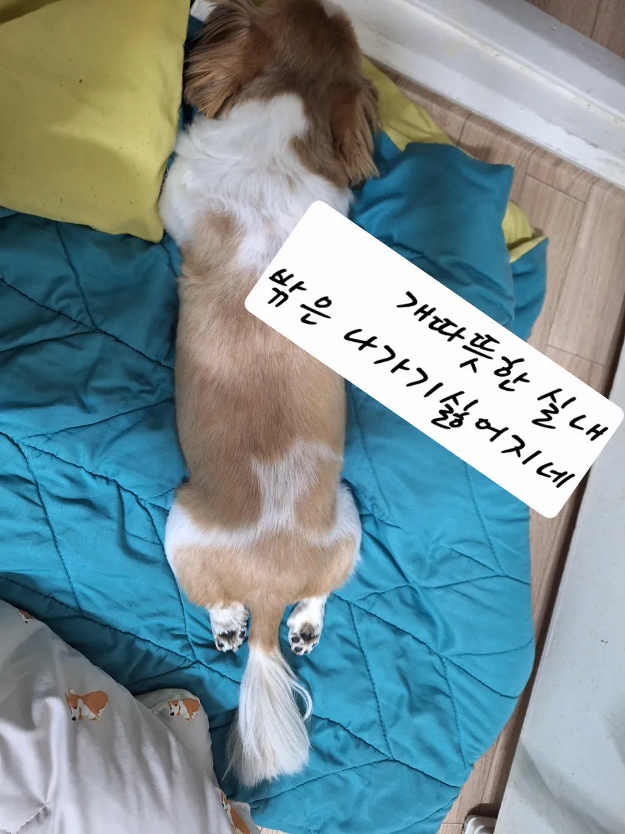 삼성냉난방기 이미지
