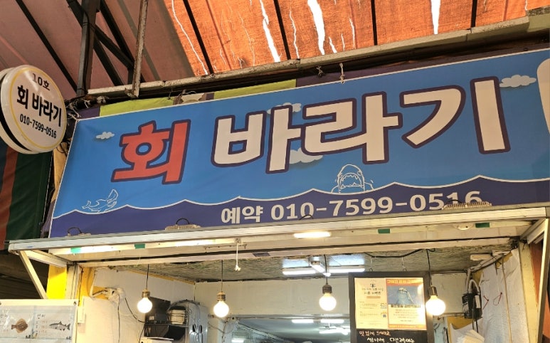 회바라기 이미지
