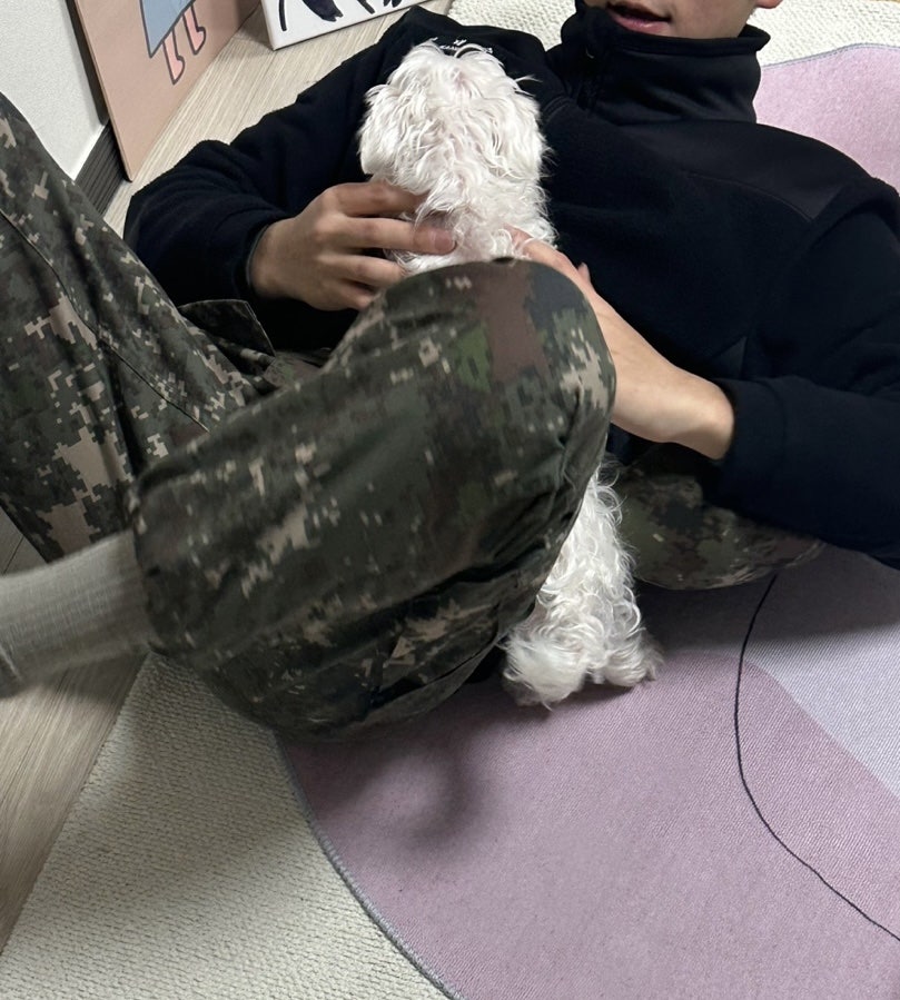 강두부 이미지