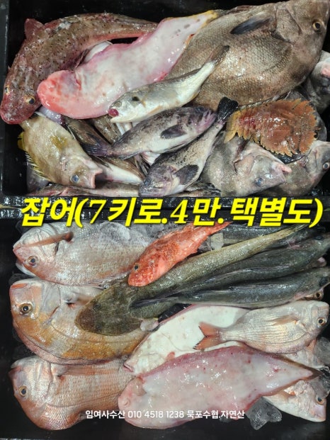 임여사수산 이미지
