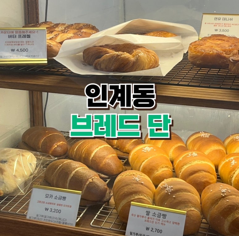 브레드단 이미지