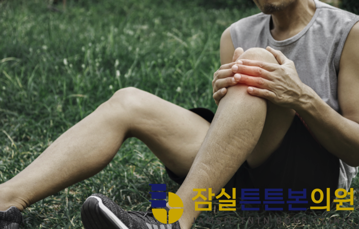 잠실튼튼본의원 이미지
