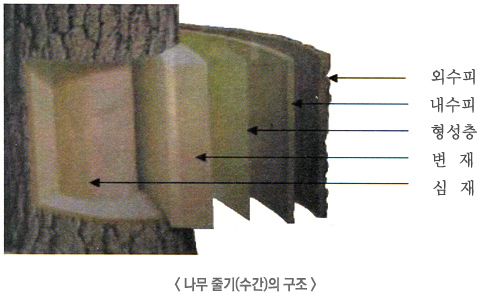이심재 이미지