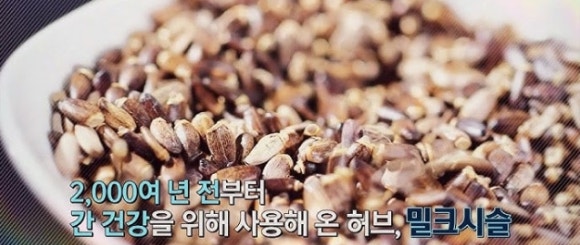 약초생활건강 이미지