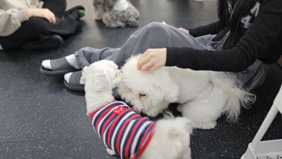 춘옥이네 이미지